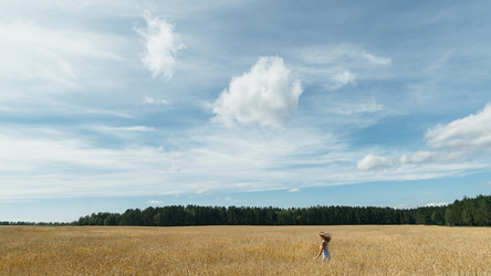 Similar image 8873997