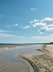 Similar image 8874031