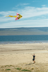 Similar image 8874102