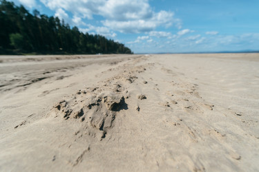 Similar image 8874116