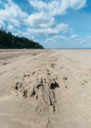 Similar image 8874118