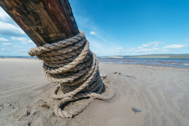 Similar image 8874123