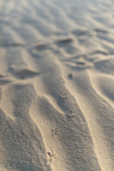 Similar image 8874130