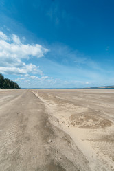 Similar image 8874134