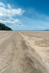 Similar image 8874142