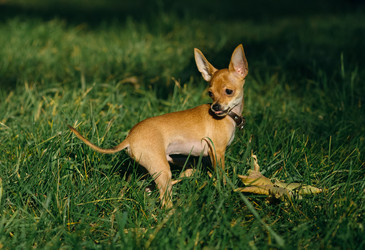 Similar image 8874228