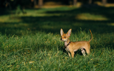 Similar image 8874230