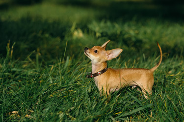 Similar image 8874235