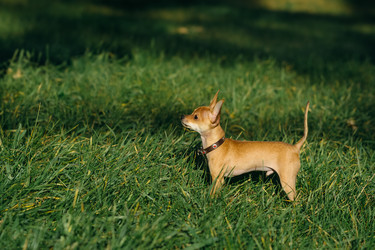 Similar image 8874237