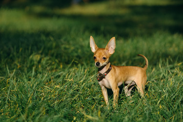 Similar image 8874239