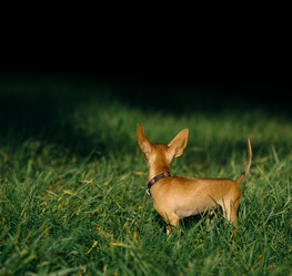 Similar image 8874242