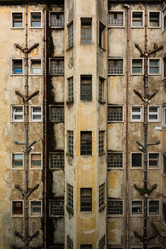 Similar image 8877455