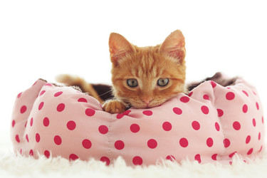 Similar image 8877575