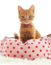 Similar image 8877577