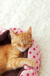 Similar image 8877647