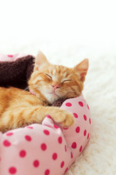 Similar image 8877651