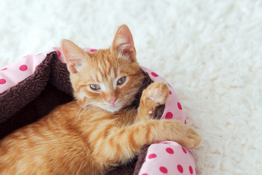 Similar image 8877658