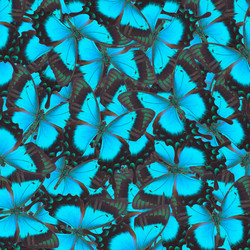 Similar image 8878008