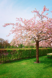 Similar image 8878224