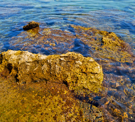 Similar image 8879595