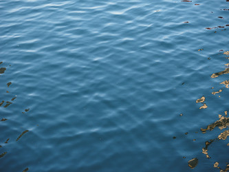 Similar image 8879871