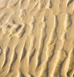 Similar image 8880453