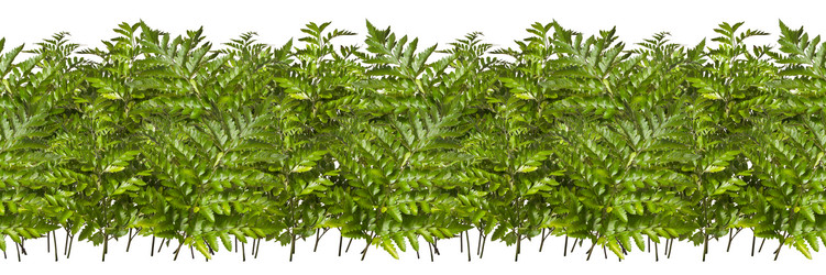 Similar image 8921364