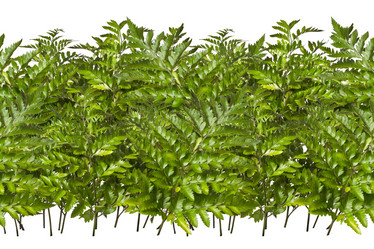 Similar image 8921367