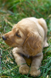 Similar image 8922039