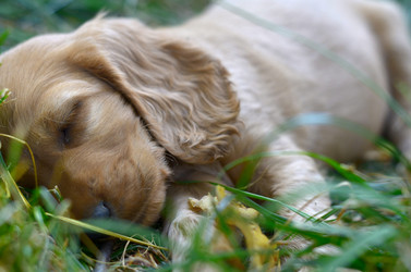 Similar image 8922041