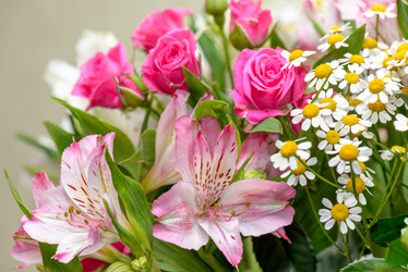 Similar image 8922383