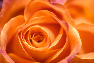 Similar image 8922388