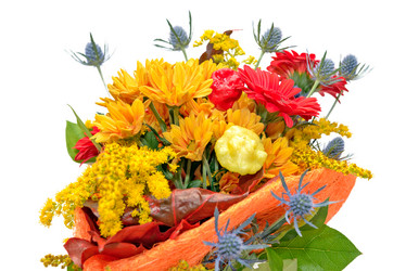 Similar image 8922395