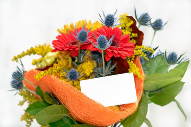 Similar image 8922414