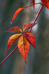 Similar image 8923497