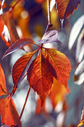 Similar image 8923500