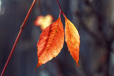 Similar image 8923543