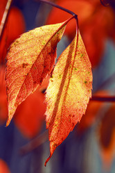 Similar image 8923547