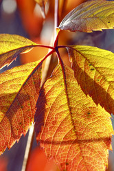 Similar image 8923549