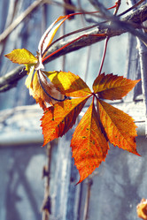 Similar image 8923552