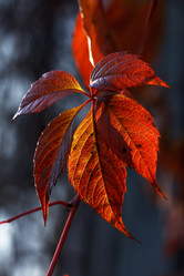 Similar image 8923556