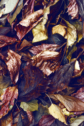 Similar image 8923559