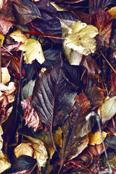 Similar image 8923561