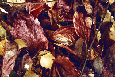 Similar image 8923563