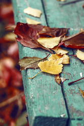 Similar image 8923566