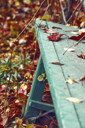 Similar image 8923568