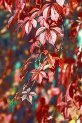 Similar image 8923570