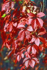 Similar image 8923572