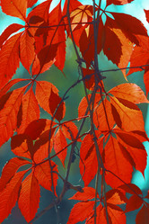 Similar image 8923575