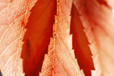 Similar image 8923577